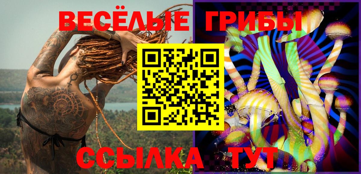 Галлюциногенные грибы GOLDEN TEACHER Долгопрудный